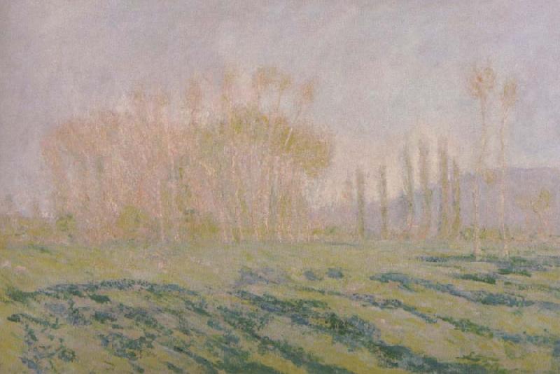 Claude Monet Meadow with Poplars oil painting picture